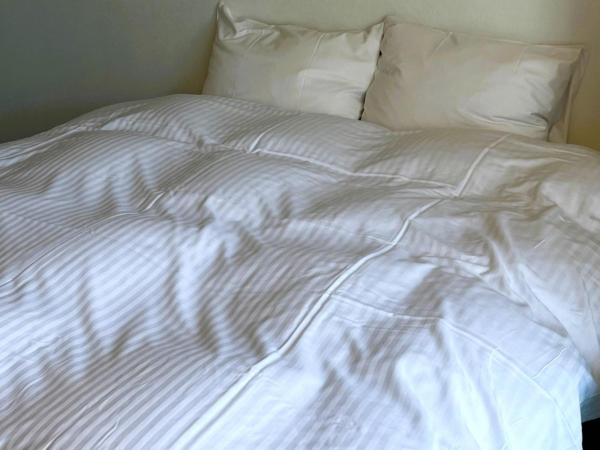 Ishiuchibase Hotel Minamiuonuma Værelse billede